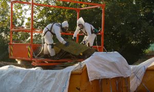 Professionals in protective gear, meticulously conducting an asbestos removal operation on a residential roof, reflecting safety and efficiency in practice