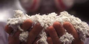 Close-up view of asbestos fibers - a critical element in learning how to test for asbestos.
