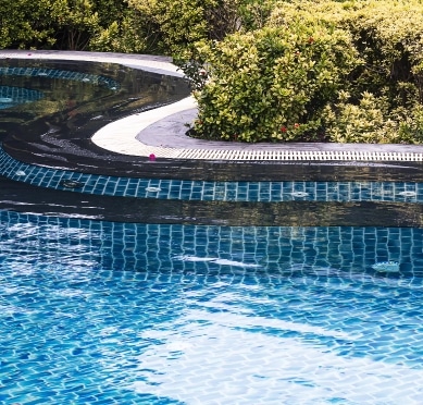 high angle view swimming pool against trees