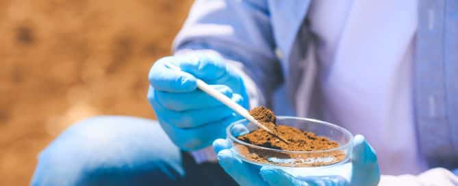 Contaminated Soil