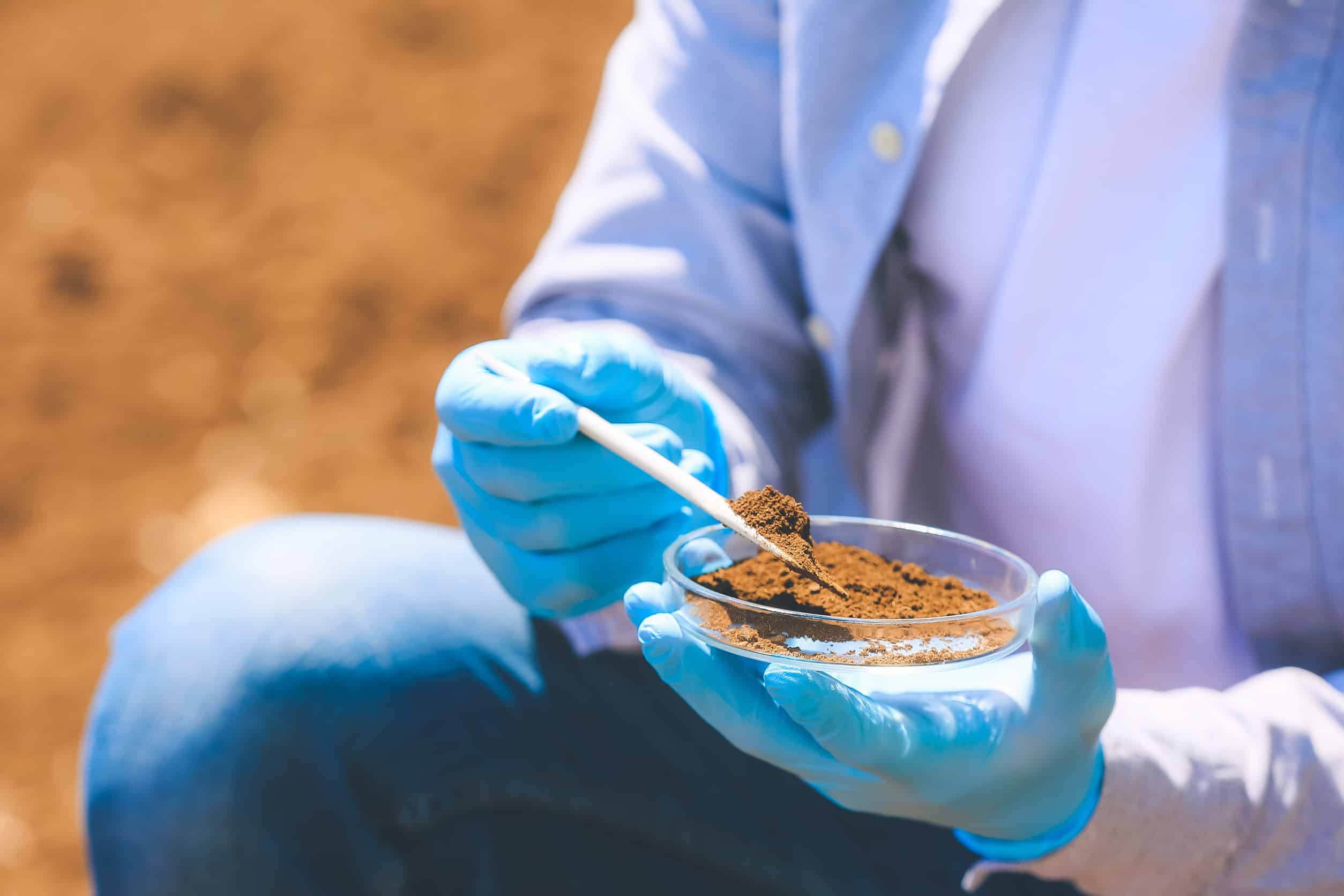 Contaminated Soil